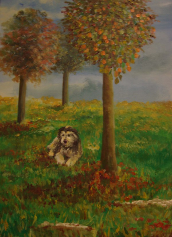 pucci all'ombra dell'autunno